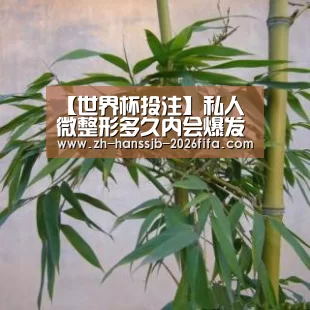 【世界杯投注】私人微整形多久内会爆发出问题(图3) 世界杯买球网站